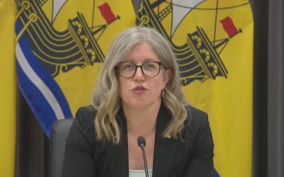 More analysis needed on key N.B. Power recommendations, Holt says | CBC News