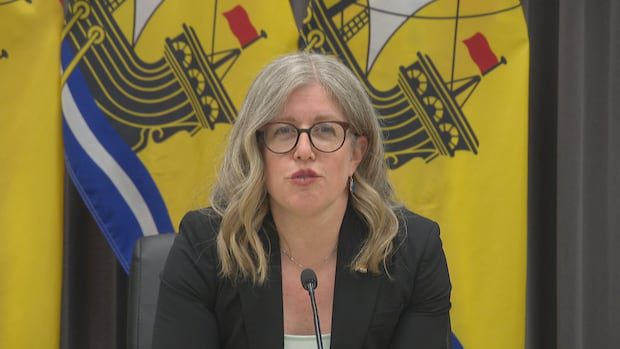 more-analysis-needed-on-key-nb.-power-recommendations,-holt-says-|-cbc-news