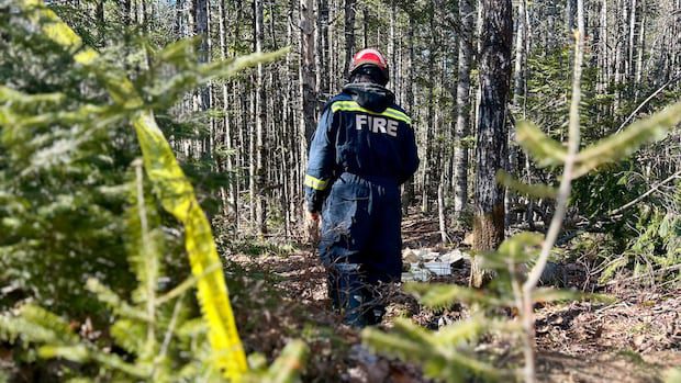 police-identify-woman-whose-remains-were-found-after-encampment-fire-|-cbc-news