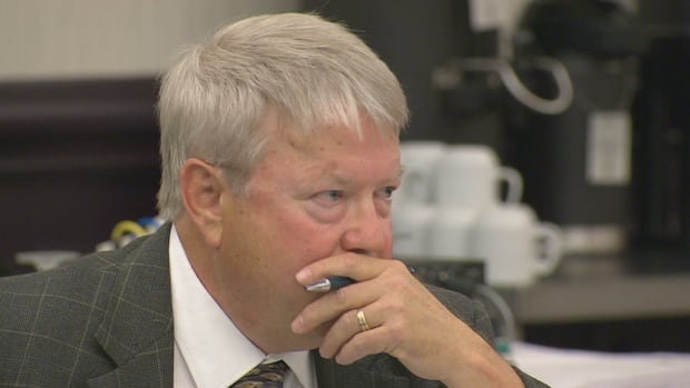 liberal-bill-creating-energy-advocate-‘quite-progressive,’-ex-intervener-says-|-cbc-news