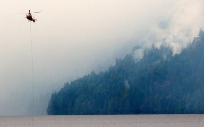 Wildfire activity low so far — but a hot and dry summer could change that, officials warn | CBC News