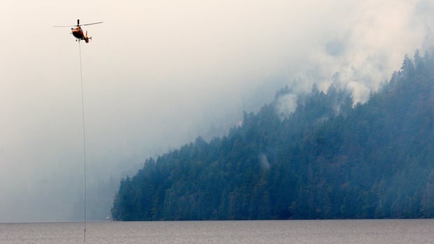 wildfire-activity-low-so-far-—-but-a-hot-and-dry-summer-could-change-that,-officials-warn-|-cbc-news