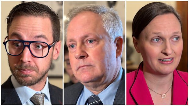after-teen's-death,-legislature-fast-tracks-child-welfare-hearings-|-cbc-news