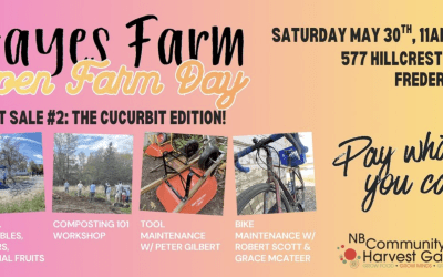 Open Farm Day – Plant Sale #2!