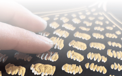 Touch: A Tactile Exhibition | June 4-July 29, 2026