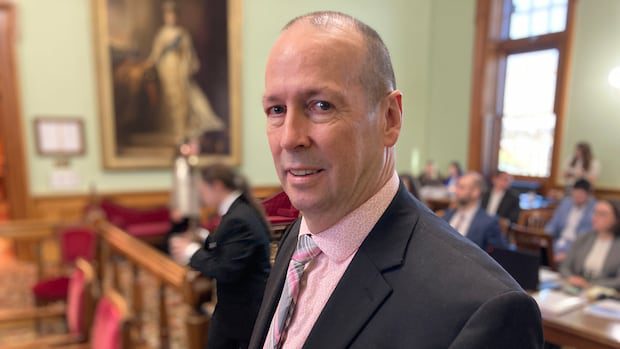 literacy-assessment-targets-not-being-met,-auditor-general-says-|-cbc-news