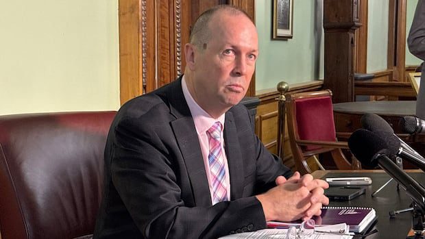 auditor-general-critical-of-nb.-power’s-‘haphazard’-gas-plant-decision-process-|-cbc-news