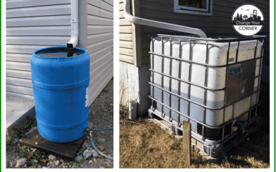 Install a rainwater collection system