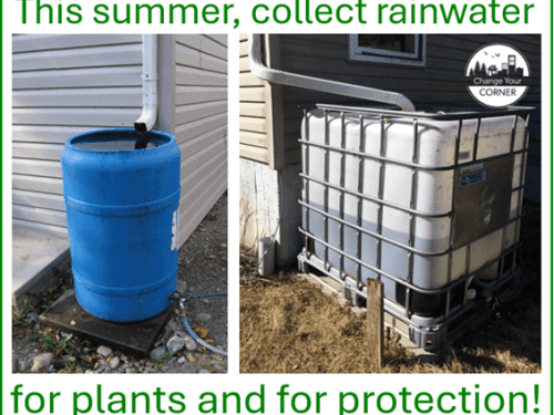 install-a-rainwater-collection-system