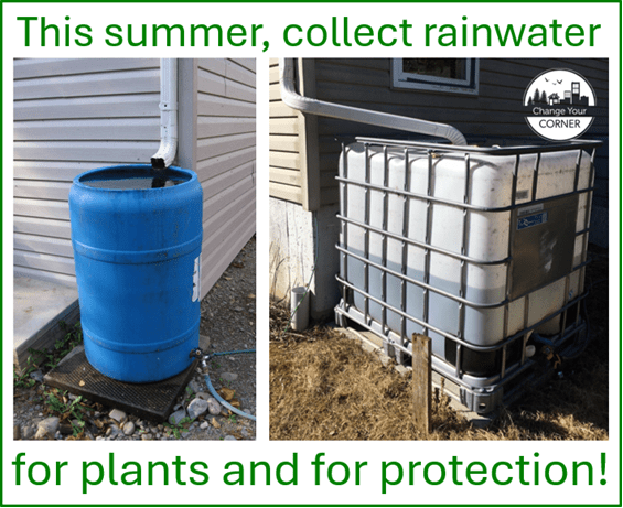 install-a-rainwater-collection-system