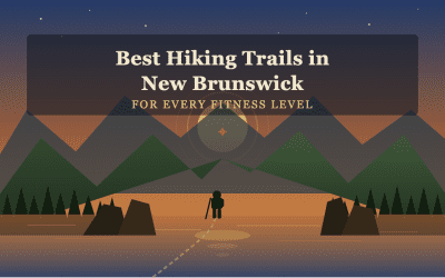 Best Hiking Trails in New Brunswick for Every Fitness Level