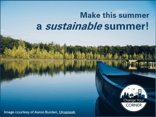 five-quick-tips-for-a-more-sustainable-summer