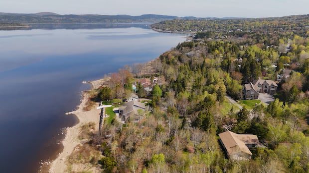clean-water-advocates-hope-promised-new-rules-will-better-protect-nb.-rivers,-wetlands-|-cbc-news