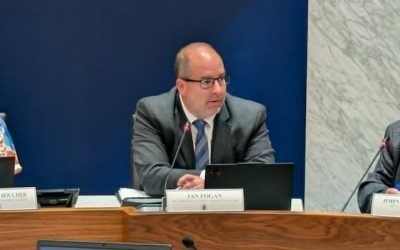 Saint John creates new council committees to focus on quality of life, infrastructure and services | CBC News