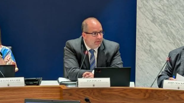 saint-john-creates-new-council-committees-to-focus-on-quality-of-life,-infrastructure-and-services-|-cbc-news
