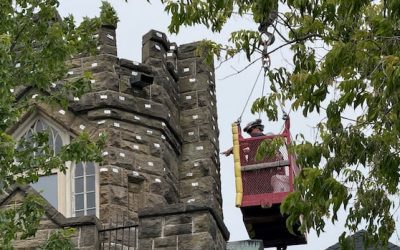Heritage advocate ‘very pleased’ to see work start at former rectory at risk of collapse | CBC News