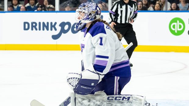 nb.-goalie-re-signs-with-pwhl's-minnesota-frost-after-'roller-coaster'-season-|-cbc-news