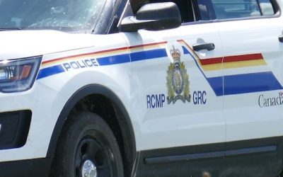 2 dead in single-vehicle crash on Grand Manan | CBC News