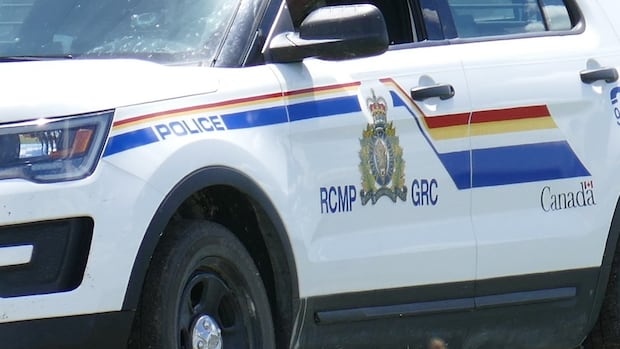 2-dead-in-single-vehicle-crash-on-grand-manan-|-cbc-news