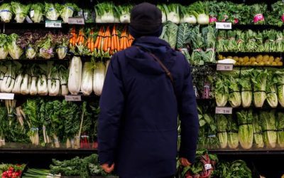 Canada’s got a grocery competition problem. Are local food hubs the answer? | CBC News