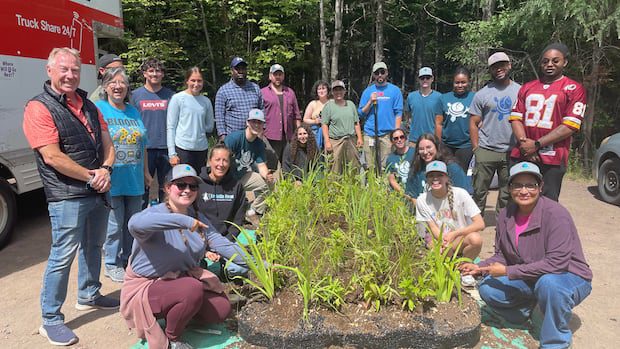 floating-island-designed-to-combat-blue-green-algae-launched-in-irishtown-road-reservoir-|-cbc-news