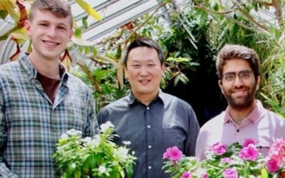 UNB researchers discover way to supercharge cancer drug production | CBC News