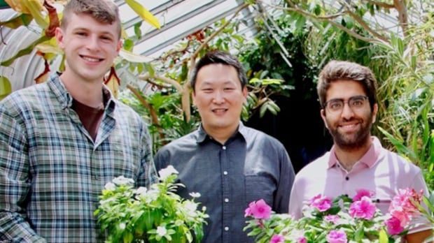 unb-researchers-discover-way-to-supercharge-cancer-drug-production-|-cbc-news