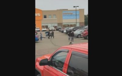 Newly emerged videos still leave questions about how Moncton altercation began | CBC News