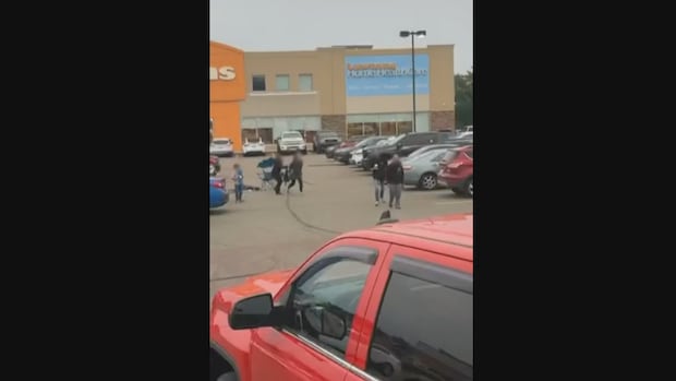 newly-emerged-videos-still-leave-questions-about-how-moncton-altercation-began-|-cbc-news