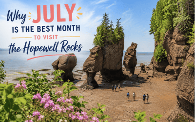 Why July Is the Best Month to Visit the Hopewell Rocks
