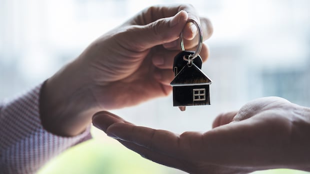 home-swaps-let-new-brunswick-travellers-spend-less-on-hotels,-experience-more-local-culture-|-cbc-news
