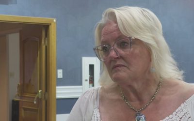 Government system overseeing vulnerable children ‘falls short daily’, union leader says | CBC News