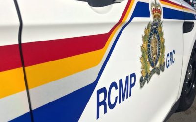 Police investigating suspected hit-and-run on Route 2 near Sackville | CBC News