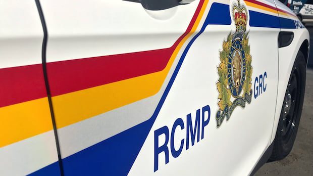 police-investigating-suspected-hit-and-run-on-route-2-near-sackville-|-cbc-news