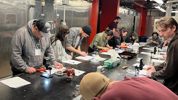 indigenous-seed-program-protects-nb.-forests,-culture-and-species-at-risk-|-cbc-news