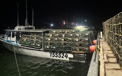 Lobster fishers optimistic as fall season gets underway after challenging spring | CBC News