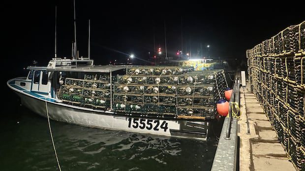 lobster-fishers-optimistic-as-fall-season-gets-underway-after-challenging-spring-|-cbc-news