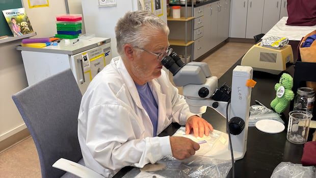 tick-exposures-more-than-double-3-year-average-in-new-brunswick-|-cbc-news