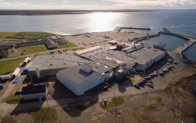 86-year-old Lamèque fish processor seeks creditor projection | CBC News