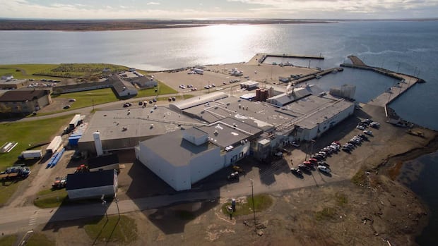 86-year-old-lameque-fish-processor-seeks-creditor-projection-|-cbc-news