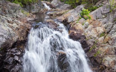 Capturing the cascade: Exploring some of New Brunswick’s hundreds of waterfalls | CBC News