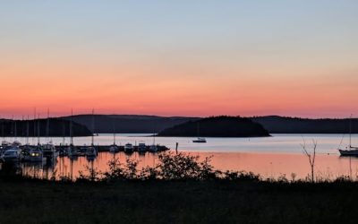 Sunrises, sunsets and sunflowers: Enjoy these photos from around New Brunswick | CBC News