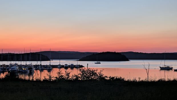 sunrises,-sunsets-and-sunflowers:-enjoy-these-photos-from-around-new-brunswick-|-cbc-news