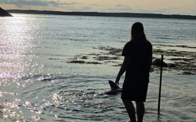 Meet Finn, the 15-year-old who saved a shark in New Brunswick | CBC News
