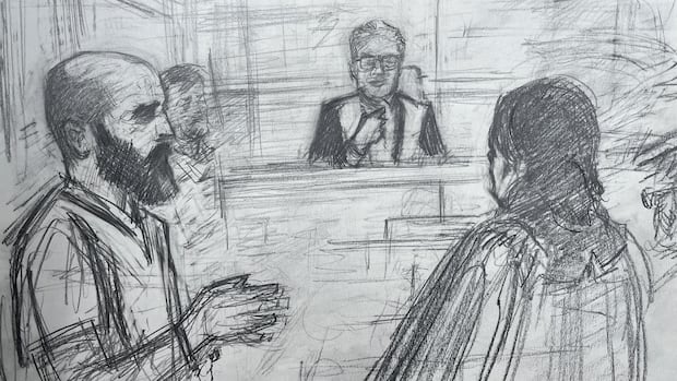 risk-to-children-when-parents-break-up-often-missed,-experts-say-after-saint-john-double-murder-case-|-cbc-news