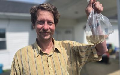 Biologists growing museum menagerie with two-week hunt | CBC News
