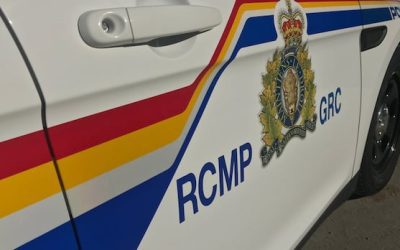 Deaths of 2 men in western N.B. declared a homicide, suicide | CBC News