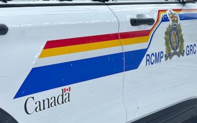 51-year-old Shediac man dies after suspected hit and run near Sackville | CBC News