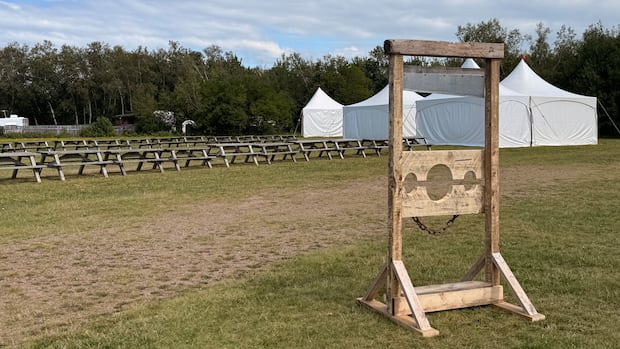 thousands-descend-on-shediac-for-sold-out,-first-time-renaissance-faire-|-cbc-news