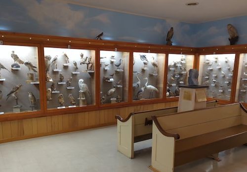 explore-the-history-of-new-brunswick's-southernmost-communities-|-cbc-news